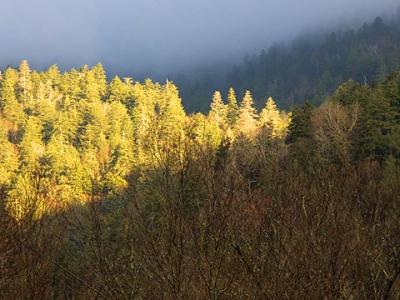 Smoky Mountains Sunrise 6463