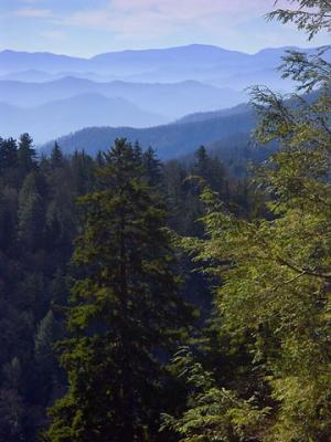 Smoky Mountains Vista 6584
