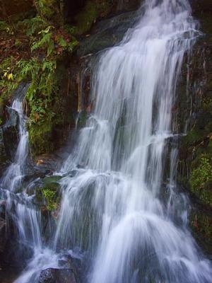 Roadside Waterfall 6922