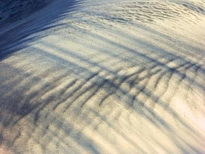 Shadows on Sand