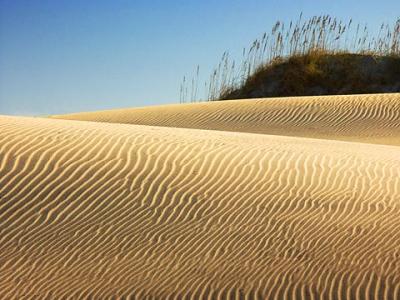 Dunes & Sea Oats