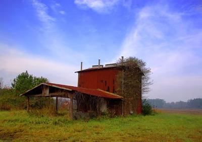 Old Tobacco Barn