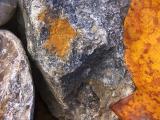 Rock & Leaf Abstract