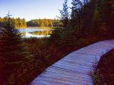 Peck Lake Boardwalk 5835