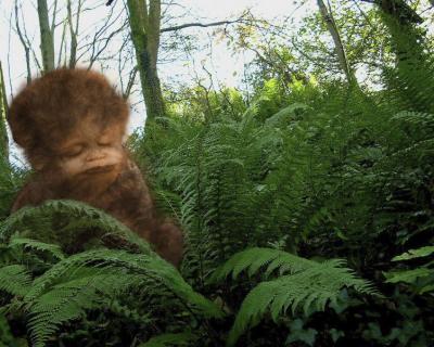 bigfoot-Boy
