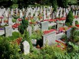 Grindelwald - cemetery