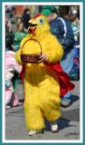 Even the Chickens are Irish on St. Paddys Day