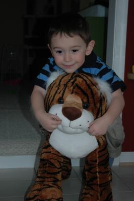 Riding Tigers