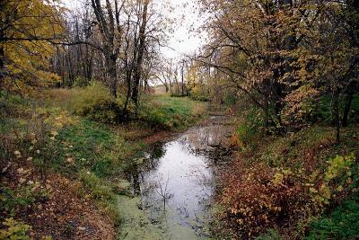 Fall colors 10