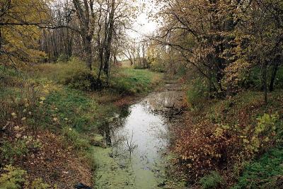 Fall colors 11