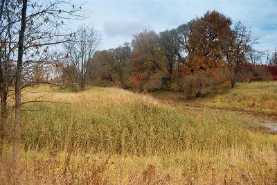 Fall colors 18