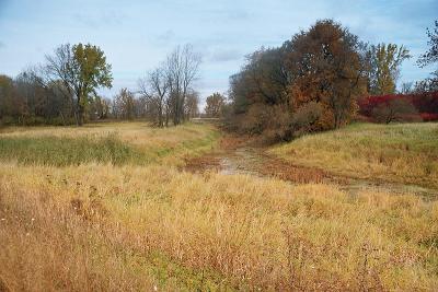 Fall colors 19