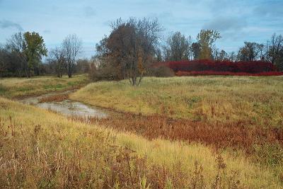 Fall colors 20