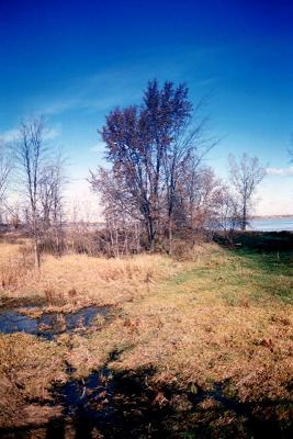 RPrairies9194.jpg