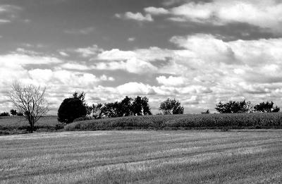 Paysage-BedfordBW.jpg