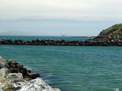 Bodega Breakwater
