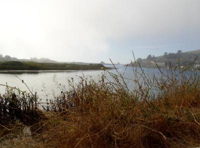 Jenner Fog