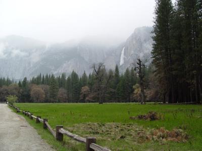 Valley Floor