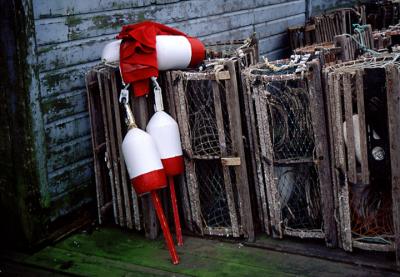 Maine Lobster Traps
