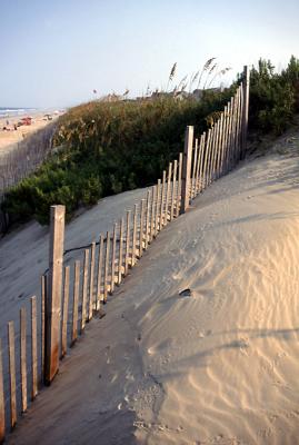 Dunes, Outer Banks, NC