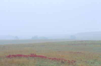 Mist over Kansas Fields