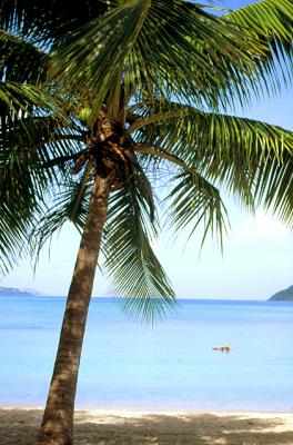 CB-114Magen's Bay,St Thomas