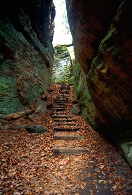 Cantwell Cliffs,Hocking Hills, Ohio