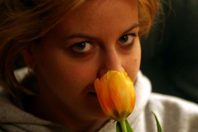 u49/mindymcn/medium/40986386.Jess_tulip.jpg