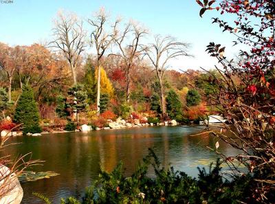 9618-autumn.jpg