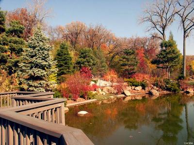 9594-autumn.jpg