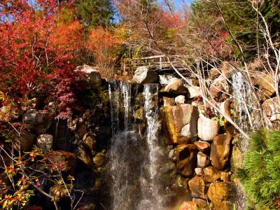 9589-50-ft-waterfall.jpg