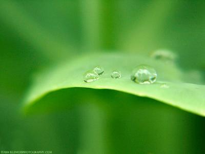 2091 raindrops are cool