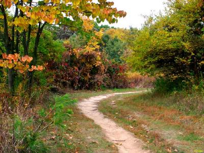 7010-autumn.jpg