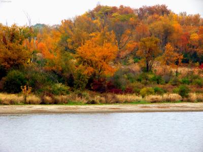 6968 ? autumn-color-feast.jpg