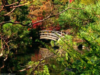 9402-autumn-bridge.jpg