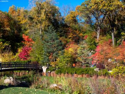 8249-autumn.jpg