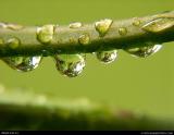 4144 rain stock photo.jpg