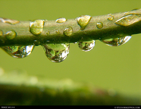 4144 rain stock photo.jpg