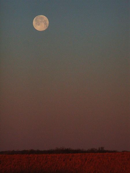 Moon over Field