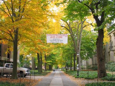 McCosh Walk Fall