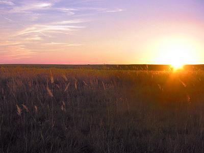 Prairie Sunset