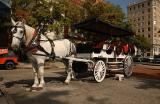 Leg 21_Here in downtown Wilmington a buggy ride is a great way to tour the old sites and houses..........