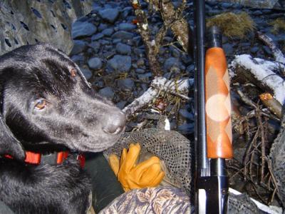 maggie in duck blind.jpg