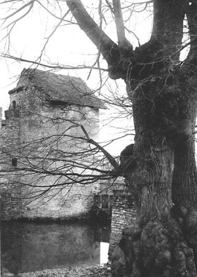 Old photo 15    France