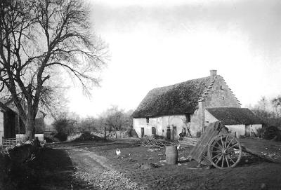 OLD PHOTO    # 6  ,      Farm House with chickens, and cart
