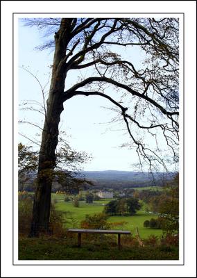 Longleat ~ the summer shade has gone!