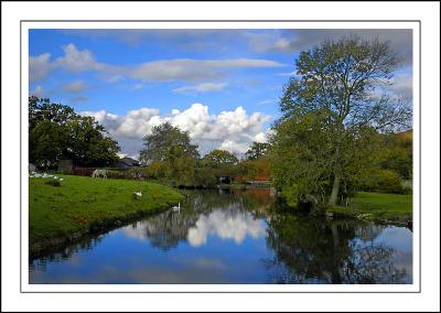 Longleat ~ pond at Horningsham