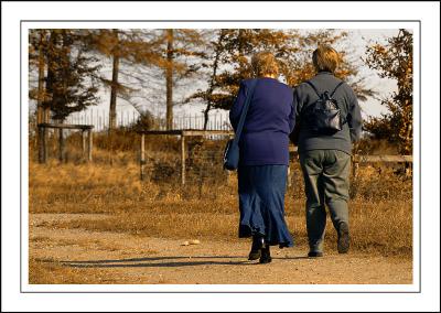 Longleat ~ the lonely walk of the photographers' wives!!