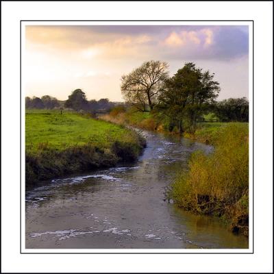 The River Yeo, near Yeovilton