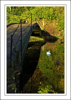 Stourhead ~ bridge and ducks